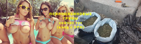 apvp Липки