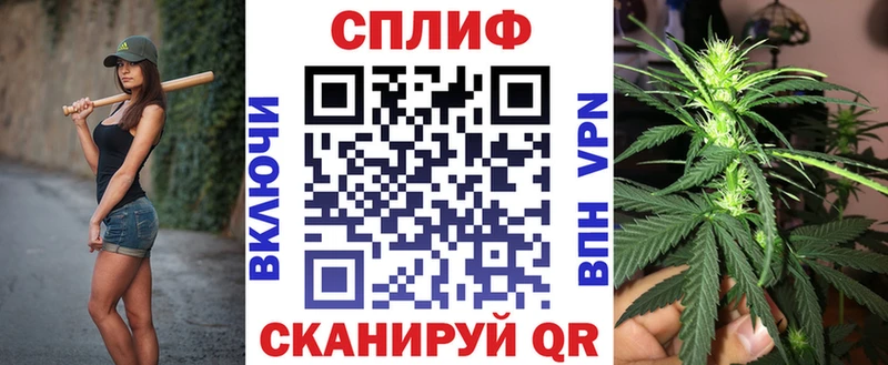 где купить наркоту  Кочубеевское  Канабис AK-47 